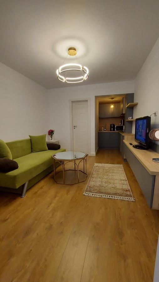 Studio Roland Apartment Пояна Брашов Екстериор снимка