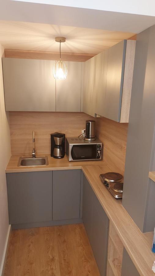 Studio Roland Apartment Пояна Брашов Екстериор снимка