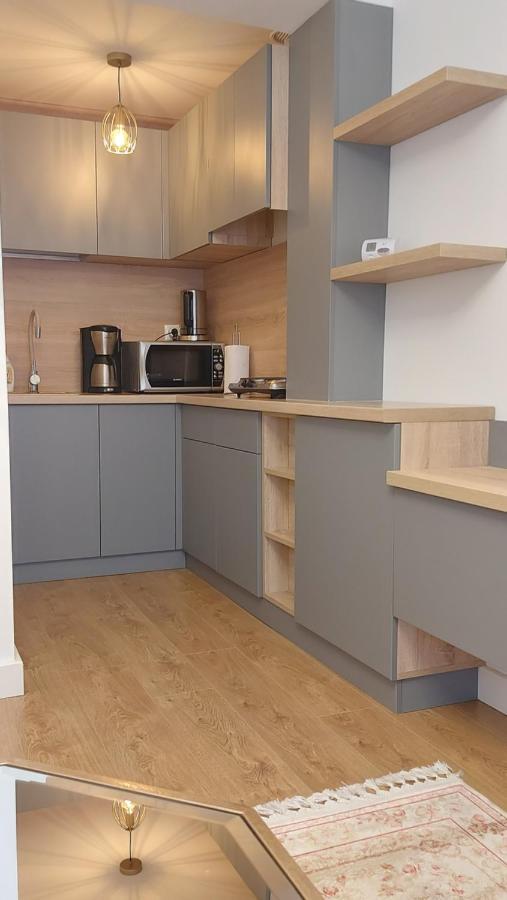 Studio Roland Apartment Пояна Брашов Екстериор снимка